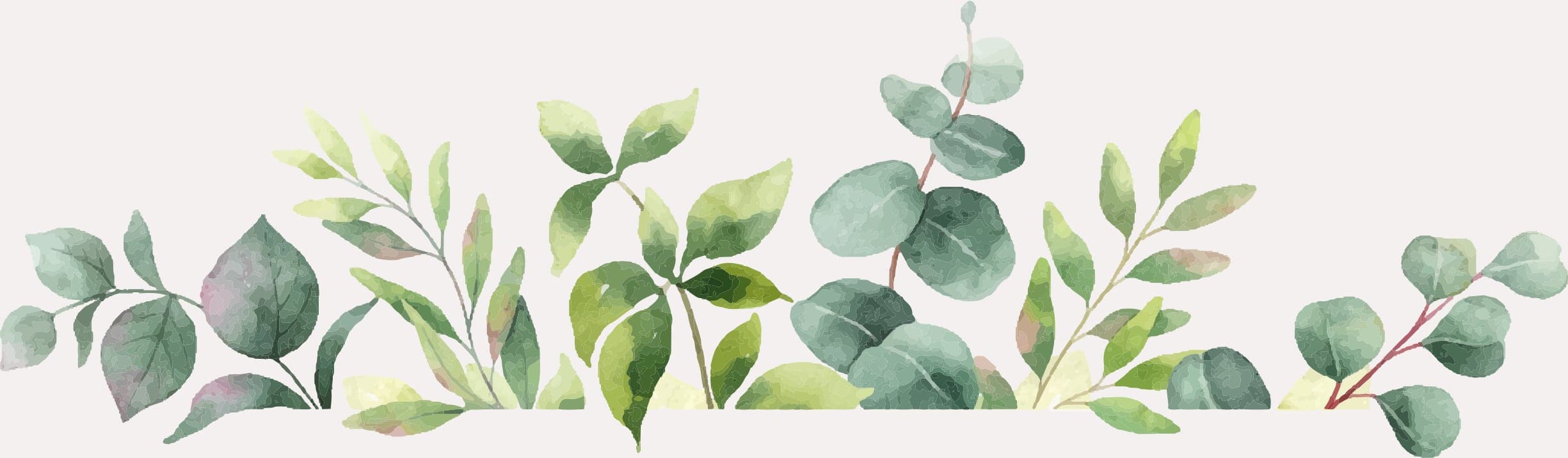 illustration 1