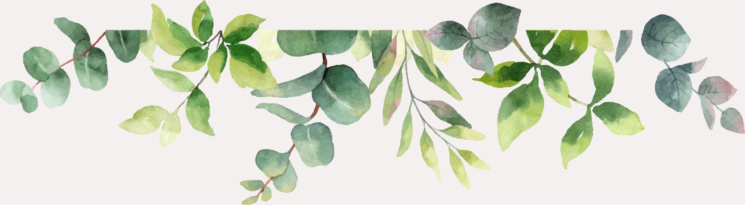 illustration 2