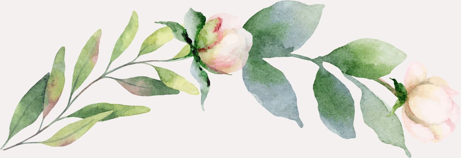 illustration 4