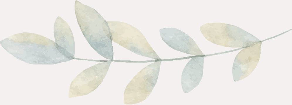 illustration 5