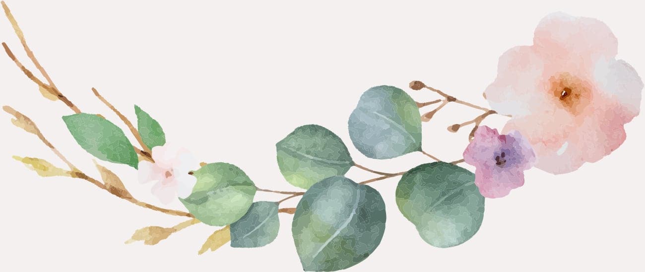 illustration 6